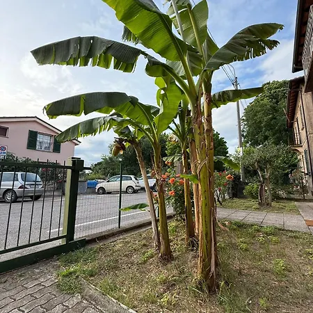 Il Balcone Fiorito
